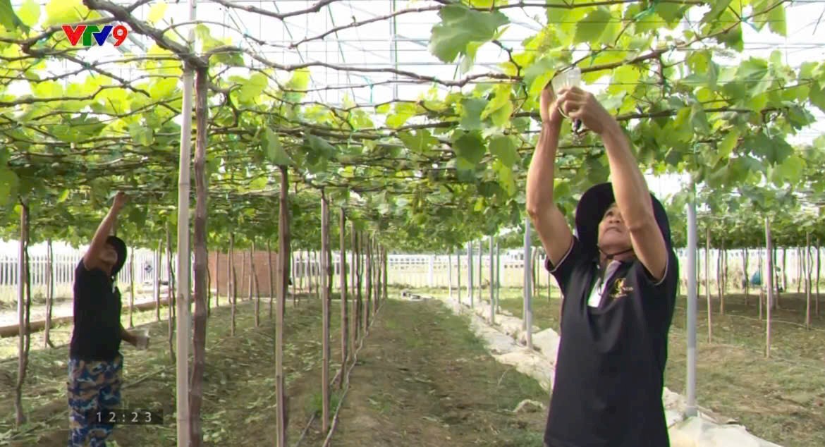 Điểm Nhấn Trong Chương Trình Hỗ Trợ Nông Dân