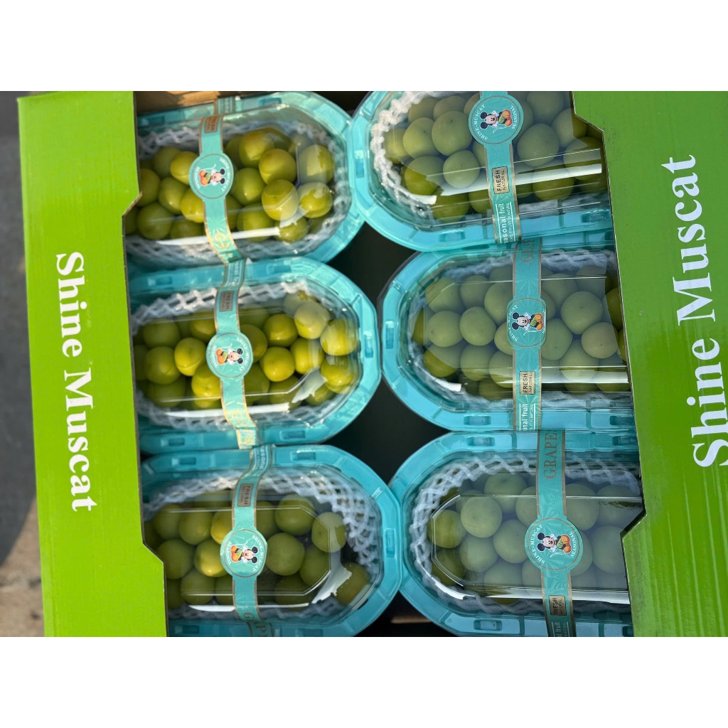 8haqovn-11134207-81ztc-mlwy6bjo27t1d0