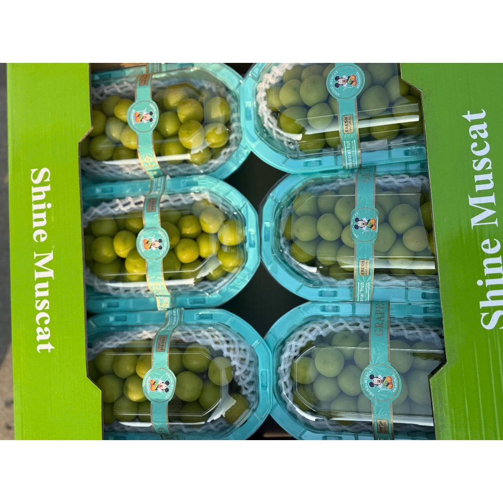 d1ul7vn-11134207-81ztc-mlwy6bjpmeisc6