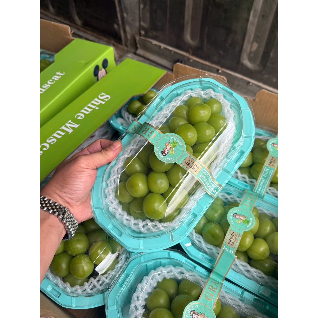 le8pzvn-11134207-81ztc-mlwy6bk9k6pv65