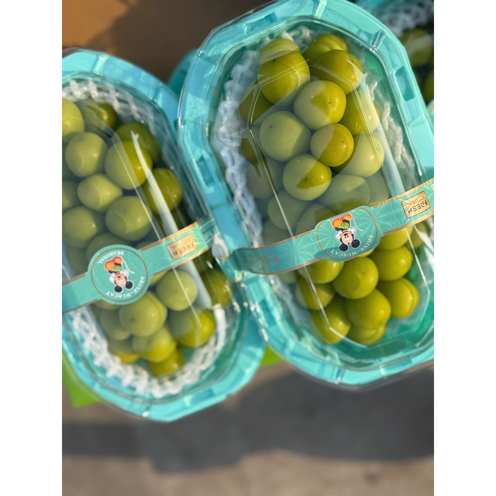 qlc5tvn-11134207-81ztc-mlwy6bjqehvmfb