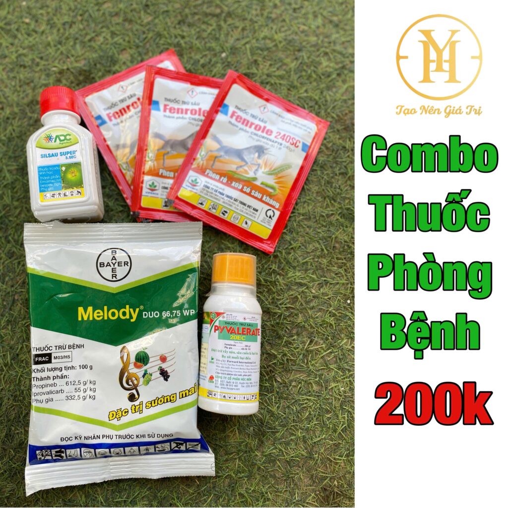 Bí Quyết Trồng Nho Từ Đầu: Phòng Bệnh + Bón Phân Chuẩn Nhà Vườn